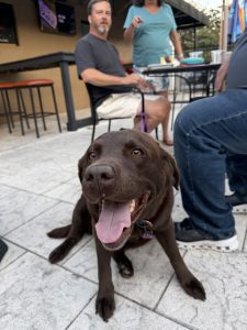 Guest photo at Twain's