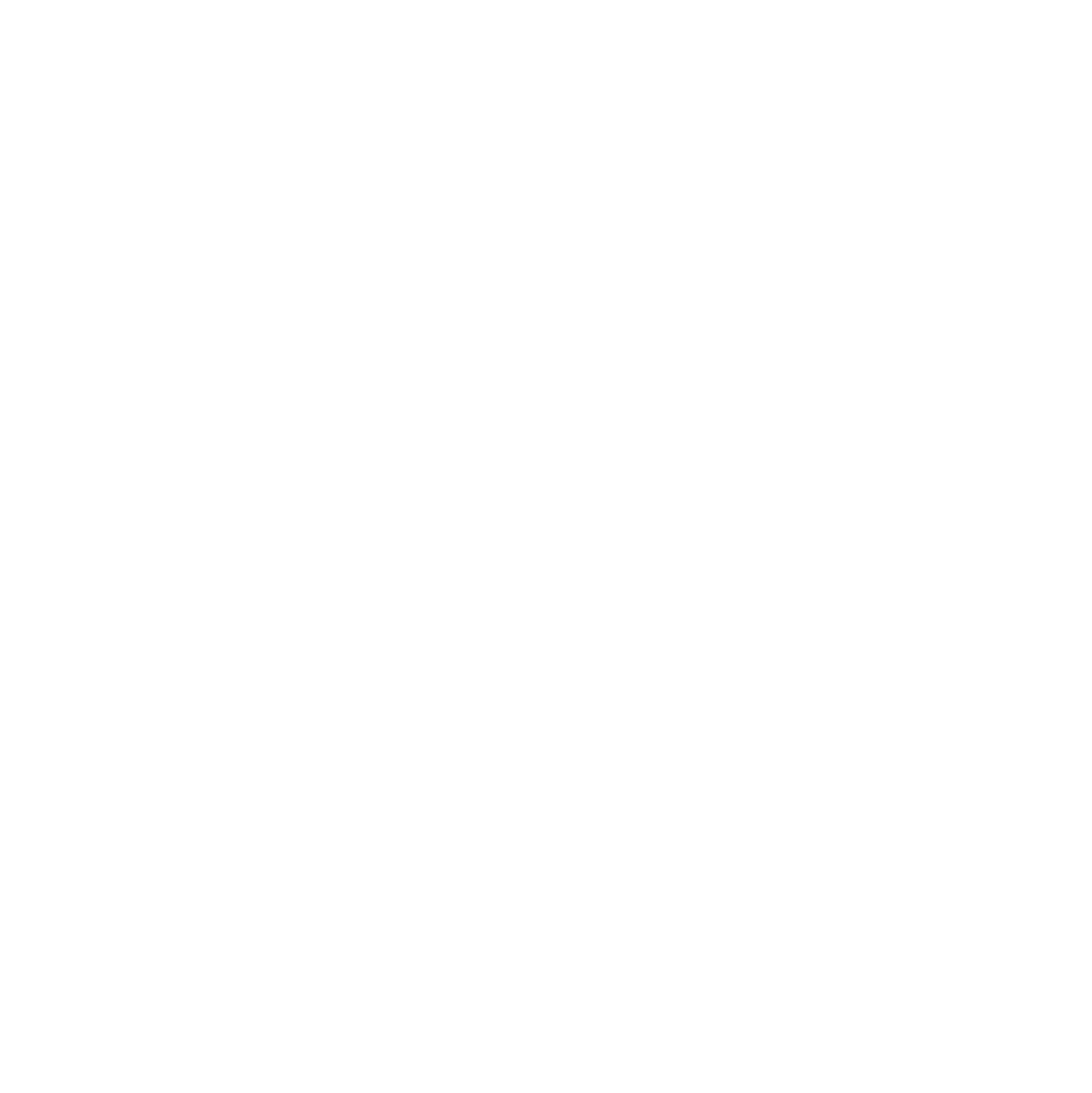 TransLogo2 Doc Marten and the Flannels logo