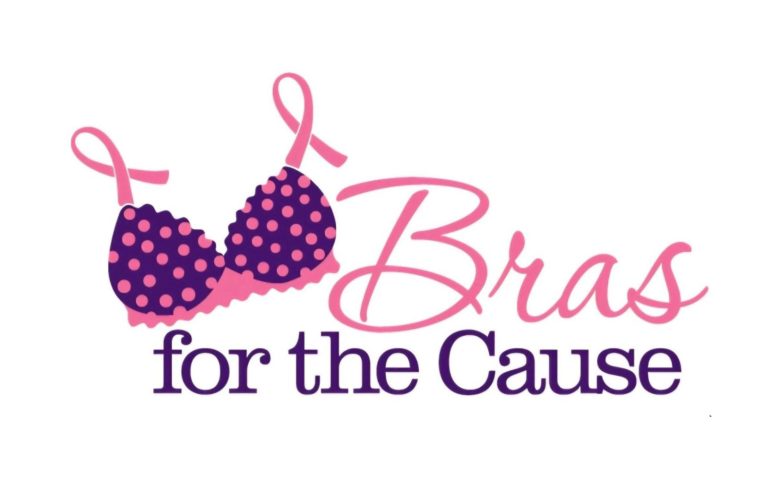Bras for the Cause logo